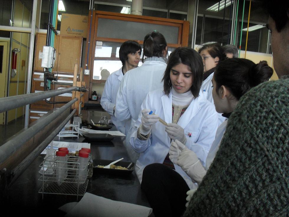 Practicos de laboratorio